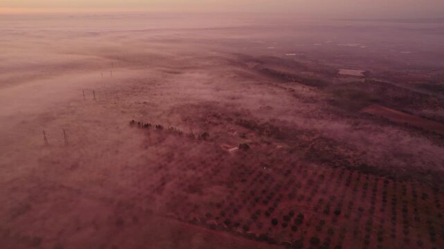 Aerial view of foggy sunrise over countryside farm, Ginosa, Italy.