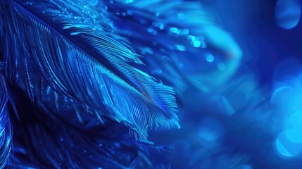 Obraz premium Abstract blue neon macro background with close up feathers and copy space