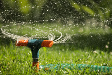Garden sprinkler on sunny summer day during watering green lawn in garden. Automatic smart...