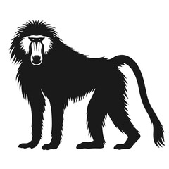 Clean black and white vector Silhouette of a Baboon  isolated on white background