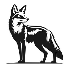 Obraz premium Clean black and white vector Silhouette of a Jackal isolated on white background