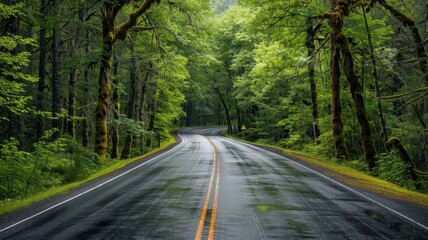 Fototapeta premium A serene, rain-soaked road winding through a lush, green forest, creating a tranquil and natural scene perfect for relaxation and escape.