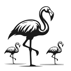Clean black and white vector Silhouette of a Ostrich isolated on white background