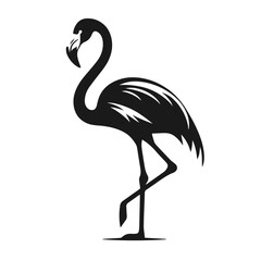 Clean black and white vector Silhouette of a Ostrich isolated on white background