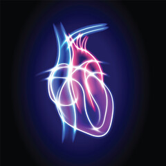 Illustration of a human heart using white curved lines glowing in various colors forming a transparent heart shape on a dark blue background.