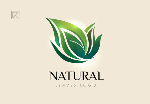 Natural Leaves Logo