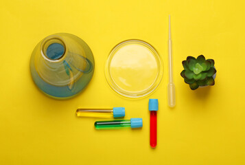 Laboratory glassware (Test tubes with flask) and accessories on yellow background