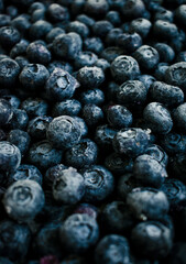Fresh blueberries close up Blueberry background. Image of blueberries from above,