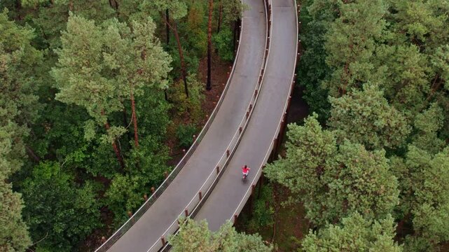 Aerial view of bicycle path through the forest with woman cycling, Hechtel-Eksel, Belgium.