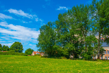 Trees and an old church in sunlight and shadow in a blue sky in summer, Walcheren, Zeeland, the Netherlands, July, 2024
