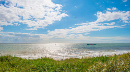 Grassy sandy dunes along sand beach and sea in a blue cloudy sky in  bright sunlight in summer, Walcheren, Zeeland, the Netherlands, July, 2024