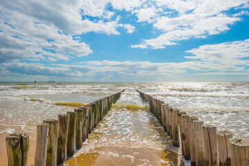 Fototapeta premium Sand beach along a sea under a blue cloudy sky in bright sunlight in summer, Walcheren, Zeeland, the Netherlands, July, 2024