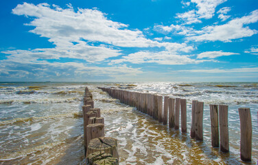 Fototapeta premium Sand beach along a sea under a blue cloudy sky in bright sunlight in summer, Walcheren, Zeeland, the Netherlands, July, 2024