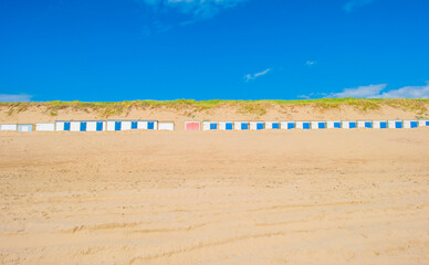 Fototapeta premium Grassy sandy dunes along sand beach and sea in a blue cloudy sky in bright sunlight in summer, Walcheren, Zeeland, the Netherlands, July, 2024