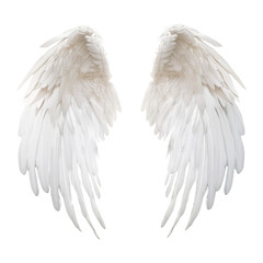 white angel wings isolated on transparent background cutout