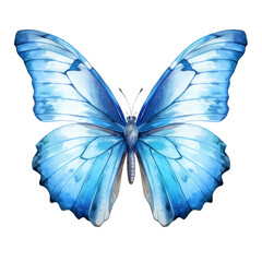 Fototapeta premium blue butterfly watercolor isolated on transparent background cutout