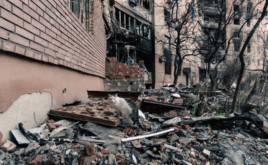 Obraz premium destroyed building in a city lost in the war in Ukraine