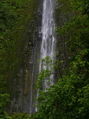 2 chute du carbet waterfall in basse terre, guadeloupe, close up. Tropical cascade detail © Etoilepolaire