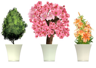 植物　プラントに植えられた花のイラストセット