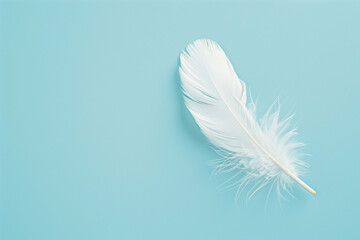 Obraz premium white feather on blue background