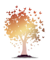 Autumn Tree Silouhette and Shape With Transparent Background