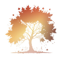 Autumn Tree Silouhette and Shape With Transparent Background