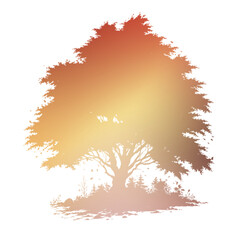 Autumn Tree Silouhette and Shape With Transparent Background