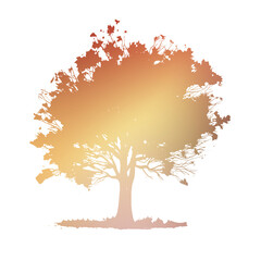 Autumn Tree Silouhette and Shape With Transparent Background