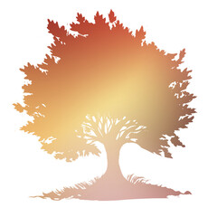 Autumn Tree Silouhette and Shape With Transparent Background