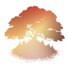 Autumn Tree Silouhette and Shape With Transparent Background