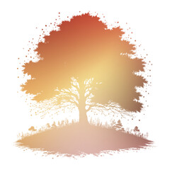 Autumn Tree Silouhette and Shape With Transparent Background