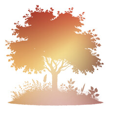 Autumn Tree Silouhette and Shape With Transparent Background