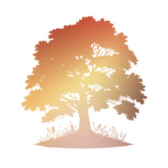 Autumn Tree Silouhette and Shape With Transparent Background