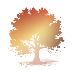 Autumn Tree Silouhette and Shape With Transparent Background