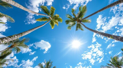 The image shows two nice palm trees with a blue sky and a tropical background.