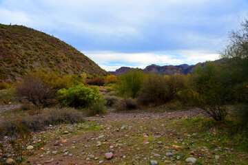 Salt River Recreation Area Arizona