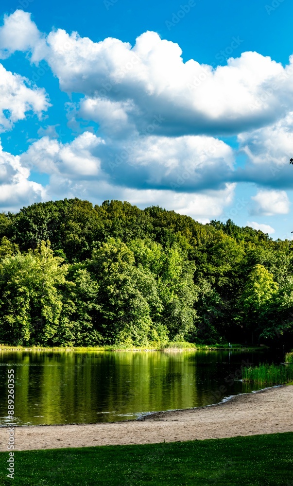 Canvas Prints Scenic view of a tranquil lake with a sandy shore, lush green trees, and a vibrant blue sky