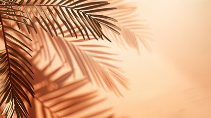 Obraz premium Minimal abstract background with blurred shadows from palm leaves on light pink wall. Spring and summer.