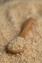 white sesame seeds for use in cooking
