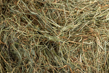 Dehydrated Dried Grass for hay production in agriculture