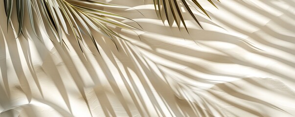 Fototapeta premium Shadows of palm leaves on a tropical sandy beach abstract background