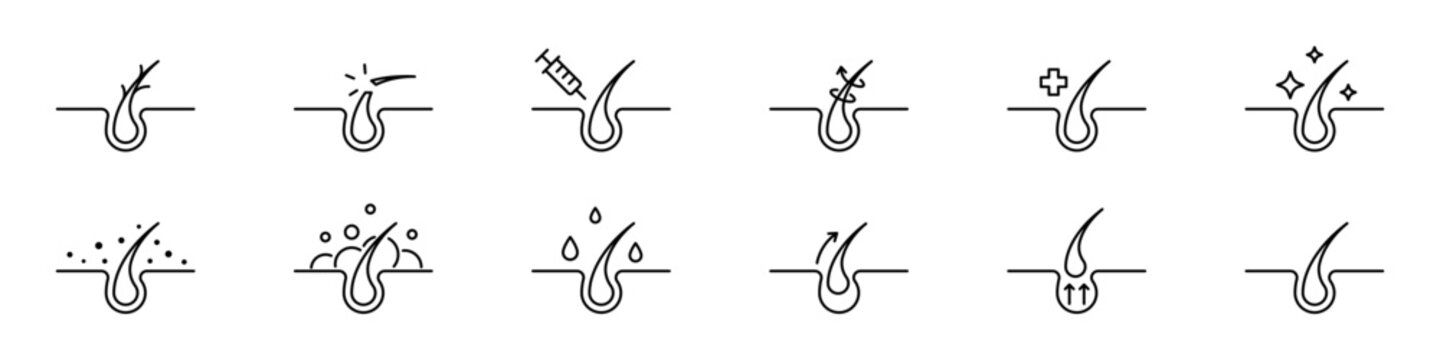 Hair care, follicle icon. Root growth care outline icons collection. Beauty, hair care symbols. Vector