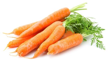 Orange Vegetable. Fresh Carrots Bunch, Organic Healthy Food Concept
