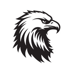 Eagle vector illustration