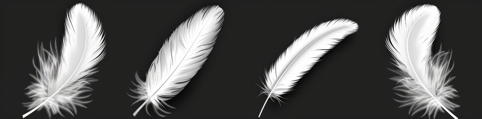 Obraz premium Bird feather Hyperrealistic High Detailed Isolated On Transparent Background PNG