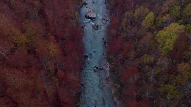 Aerial view of autumn canyon with river, forest, and trees, Tara Bridge, Montenegro.