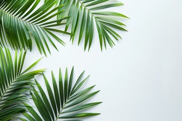 Flat lay, top view of tropical green palm leaves.
