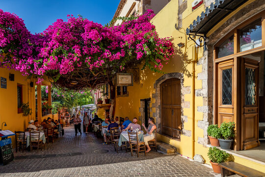 Schattenspender Bougainvillea