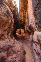 Stunning image of The Joint Trail slot canyon in Utah's Canyonlands National Park showcasing rugged red rock formations and the narrow tunnel passage through the Needles District - USA
