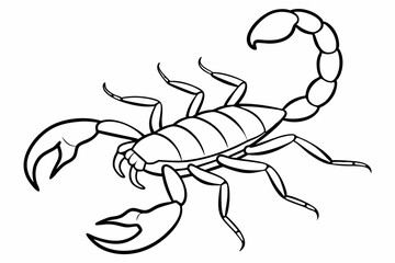 Scorpion, scorpion icon vector, scorpion tattoo. vector illustration

